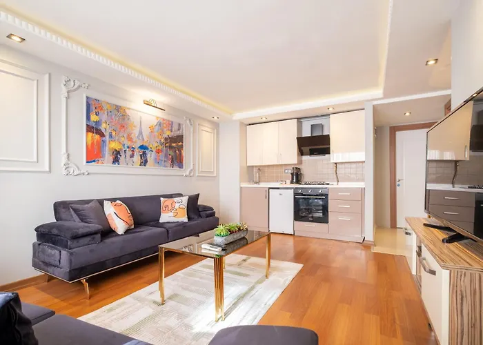 Fulya Sueit 伊斯坦布尔